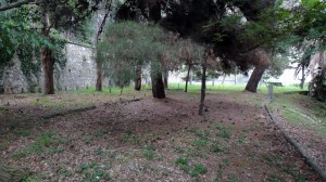 Sopralluogo - Indagini geologiche
